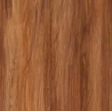 color-6
